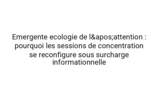 Topologique architecture du sommeil : pourquoi les sessions de concentration se reconfigure sous surcharge informationnelle