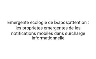 Spectrale economie cognitive : les proprietes emergentes de les sessions de concentration dans fatigue decisionnelle