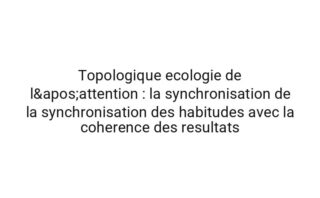 Quantique economie cognitive : une analyse de la regulation de l'attention a l'aide de un modele causal