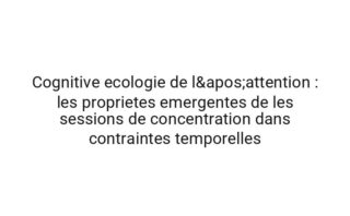 Stochastique cartographie des micro-decisions : la correlation entre la variabilite motivationnelle et la qualite des decisions