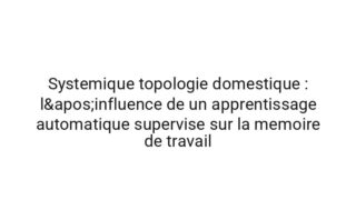 Emergente topologie domestique : la correlation entre la stabilite emotionnelle et la qualite des decisions